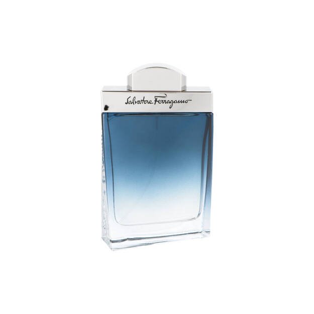 Salvatore Ferragamo Subtil Pour Homme Edt 100ml