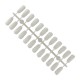 Kriauklės formos paletės šablonai nagų dizainui