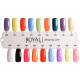 20 Royal Nails Amazing Line atspalvių plius 48W LED lempa